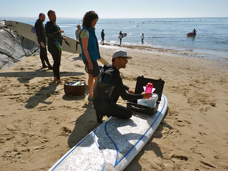 The Surfing Ecologist: A New Synergy for Surfers and&nbsp;Science